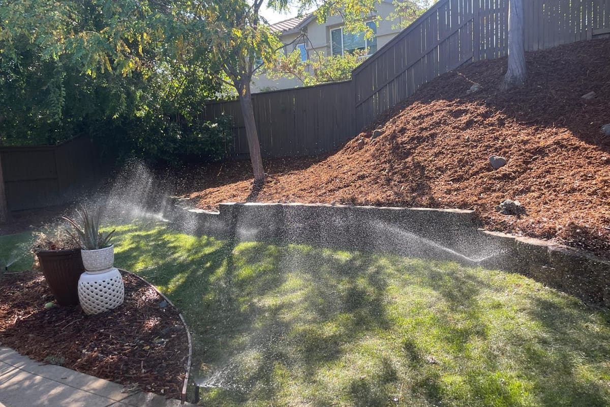 Santiago lawn care