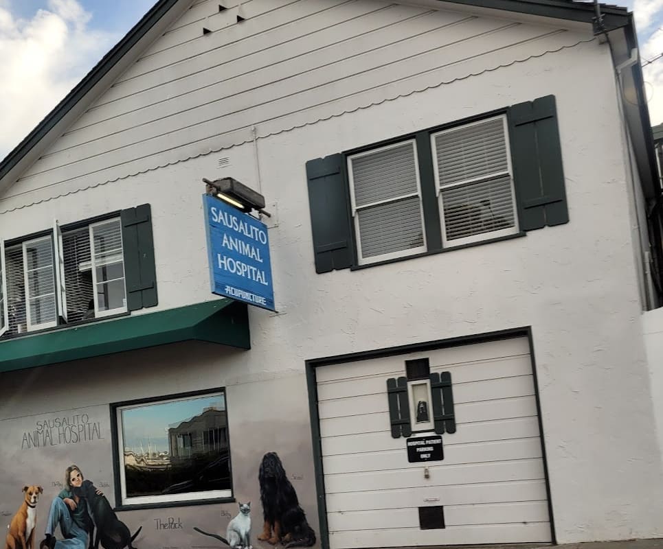 Sausalito Animal Hospital: Deiter Raymond L DVM