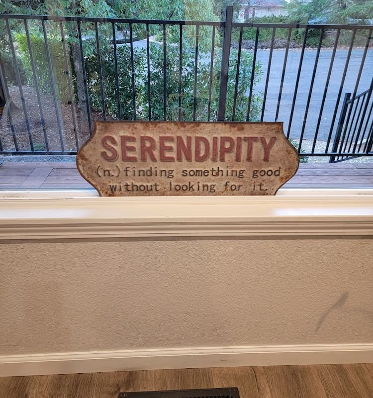 Serendipity Salon