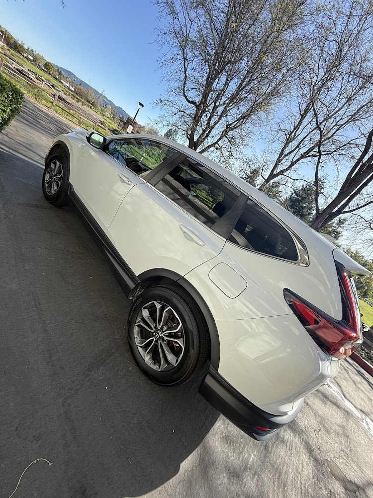 Shotwell's Auto Body