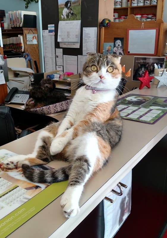 Sierra Animal Wellness Center