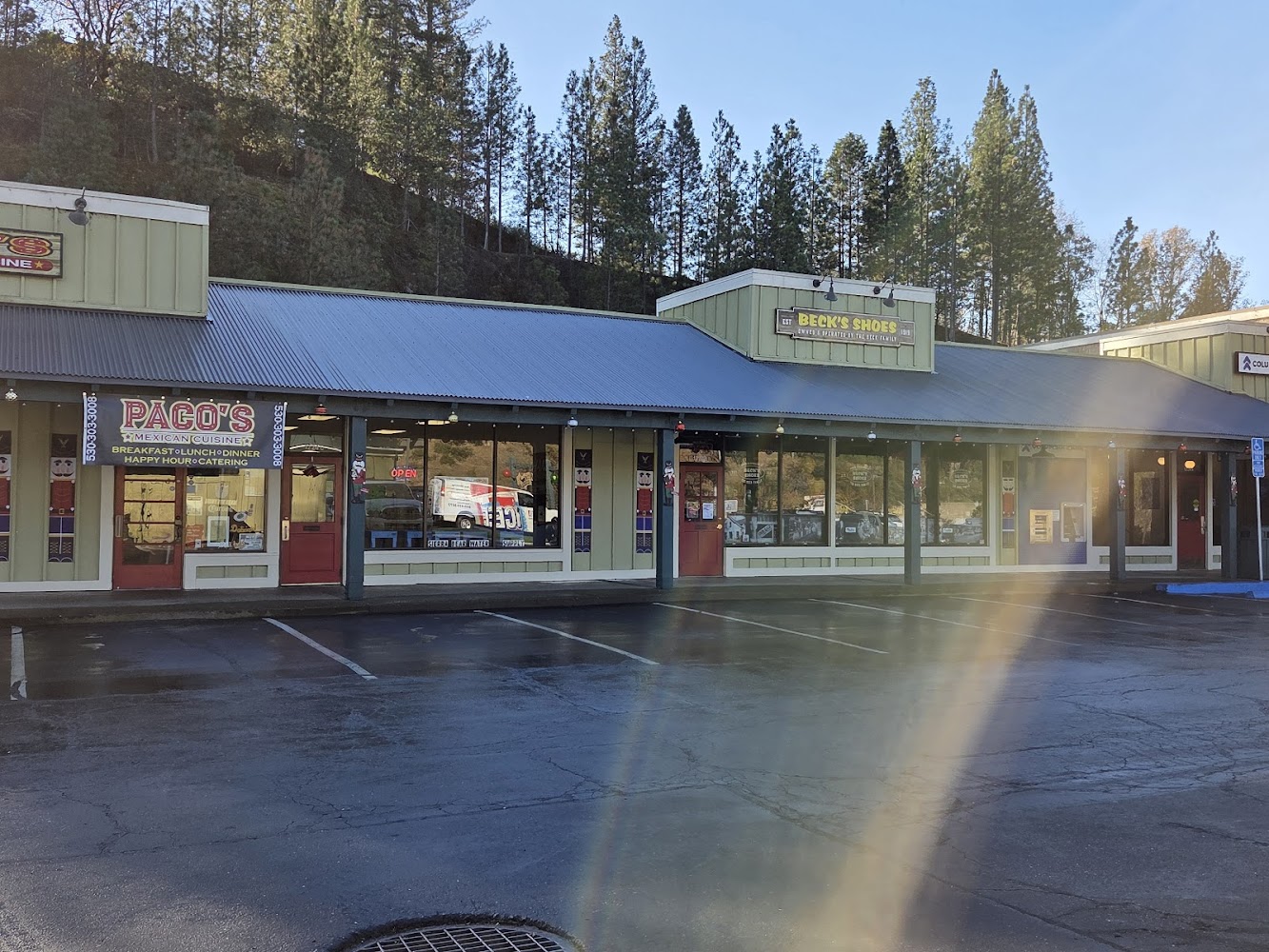 Sierra Bear Water Supply — Water Coolers in Placerville, CA