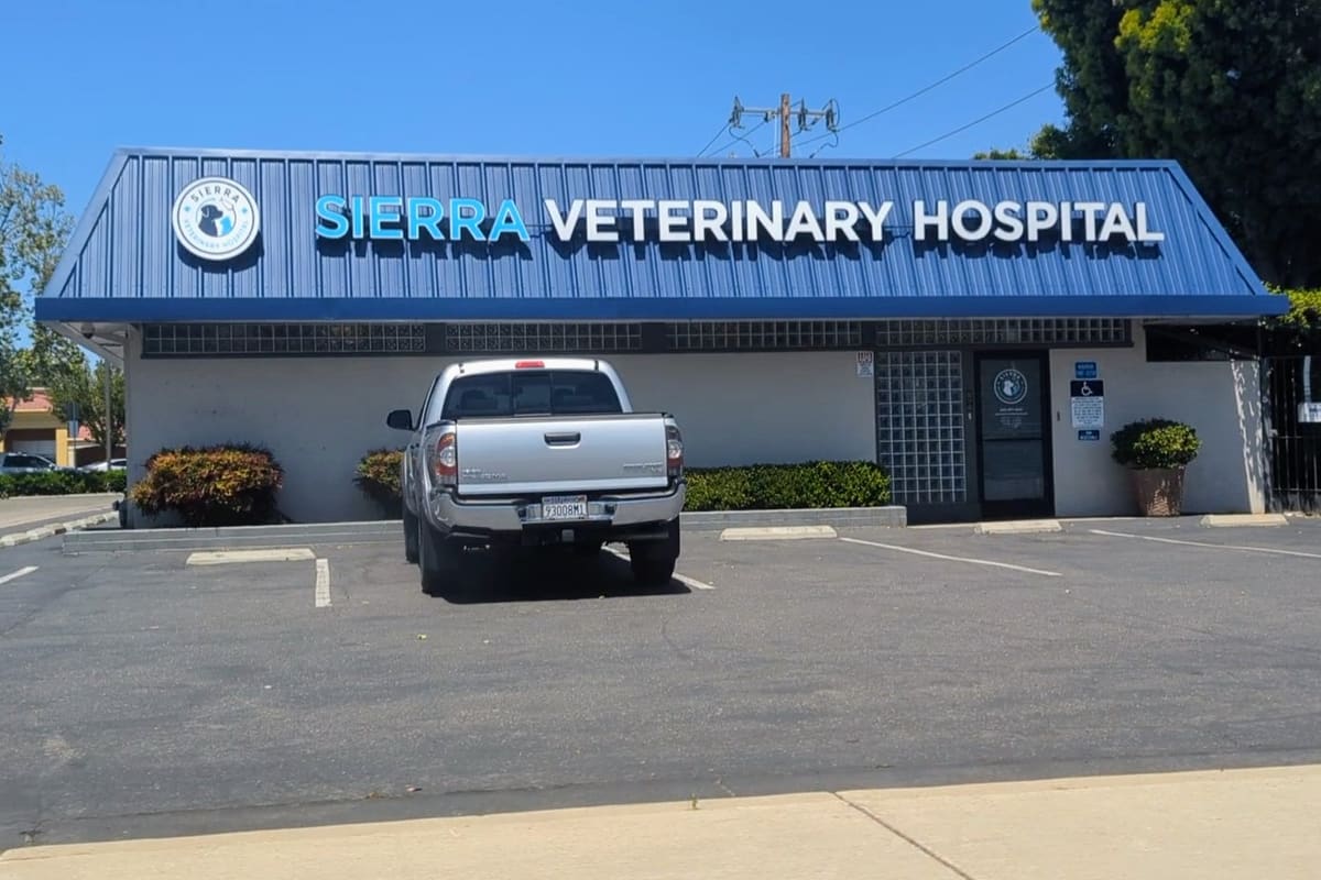 Sierra Veterinary Clinic: Damron Julie DVM