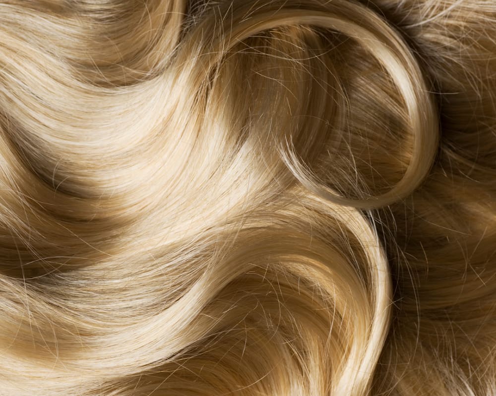 Simply Shear – (Corte Madera) Marin Hair Salon by Anna Monge
