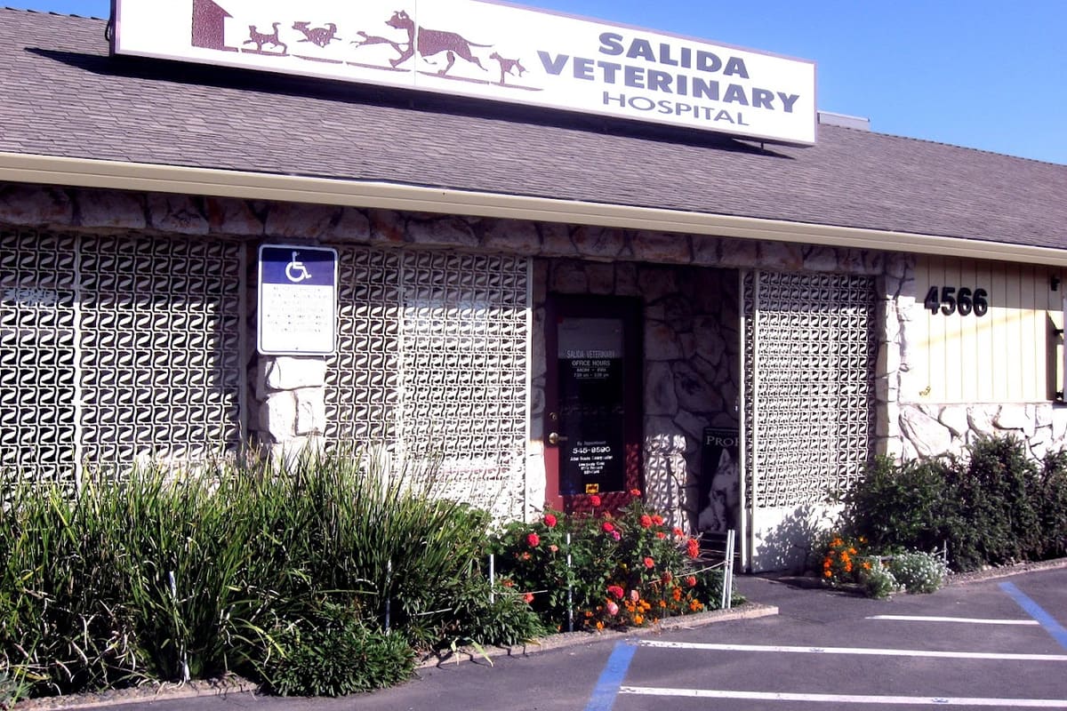 SISK VETERINARY HOSPITAL