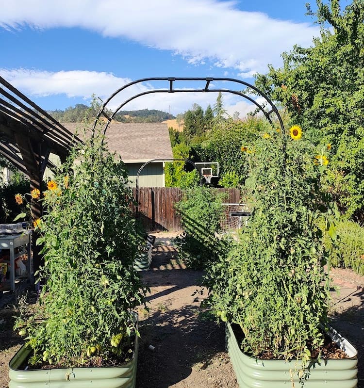 Small But Mighty Gardens