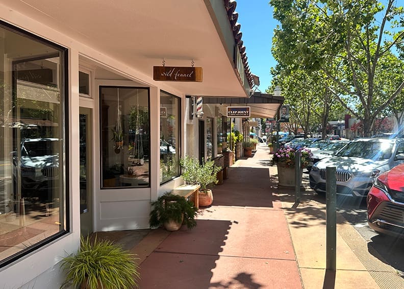 Solution-Suite | Affordable Digital Marketing Novato, CA