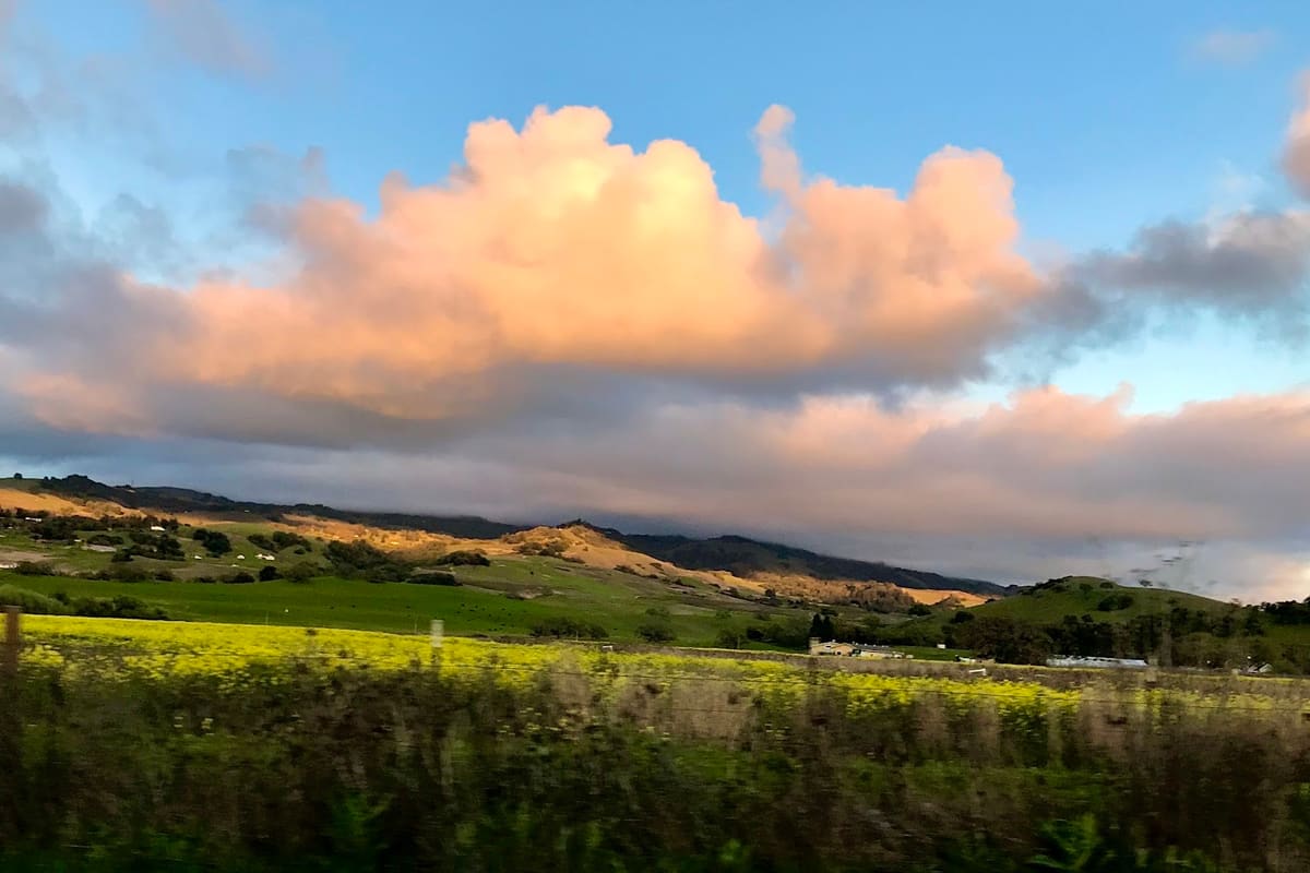 Sonoma Mountain Landscape