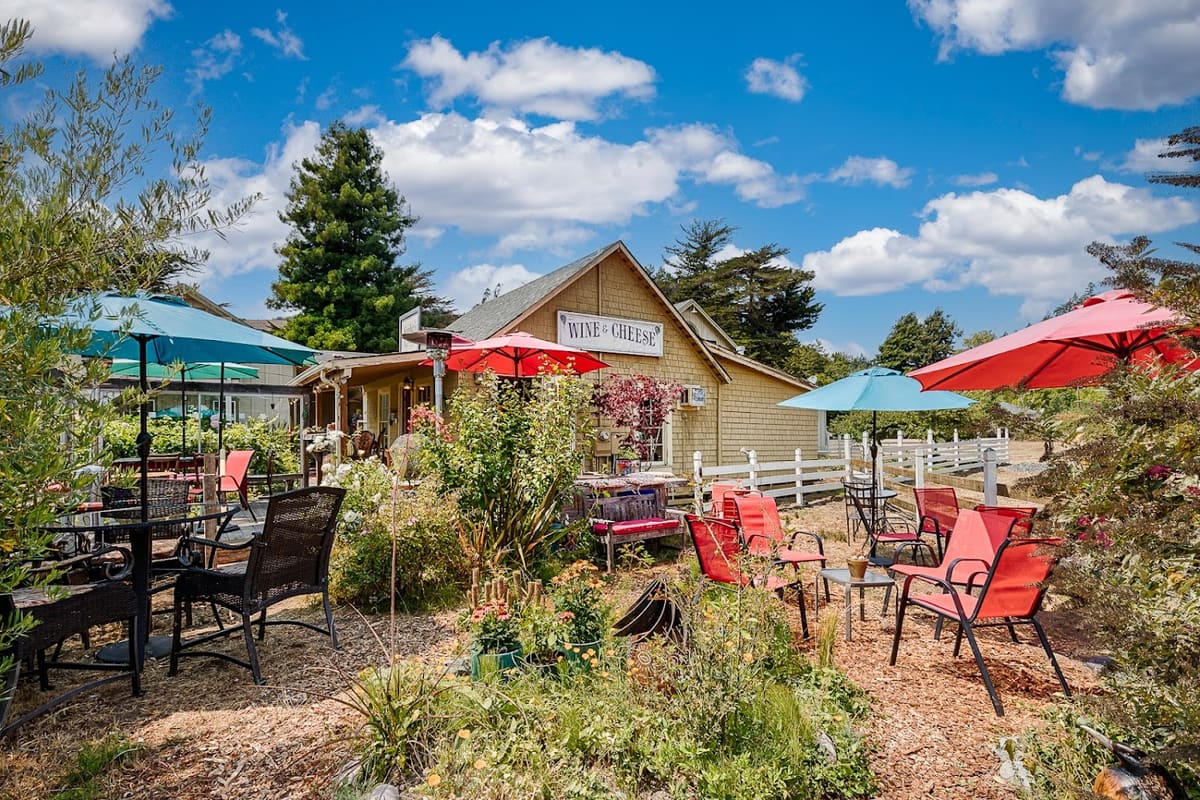 Sophie's Cellars