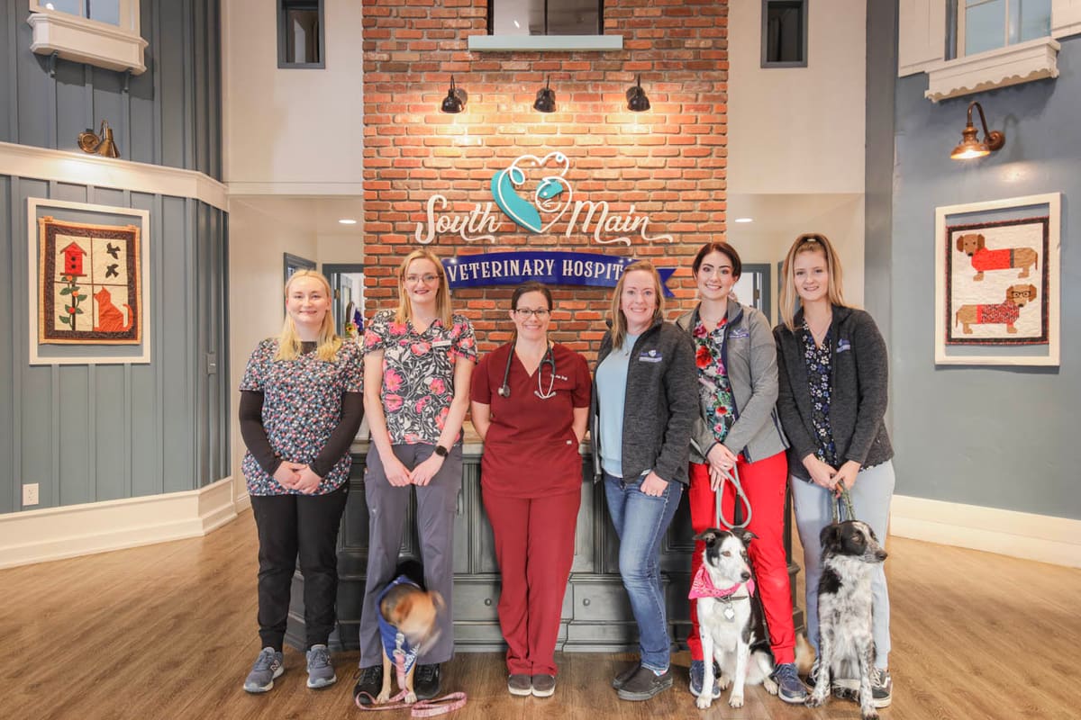 South Main Veterinary Hospital