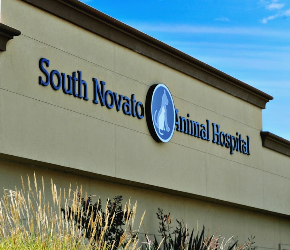 South Novato Animal Hospital