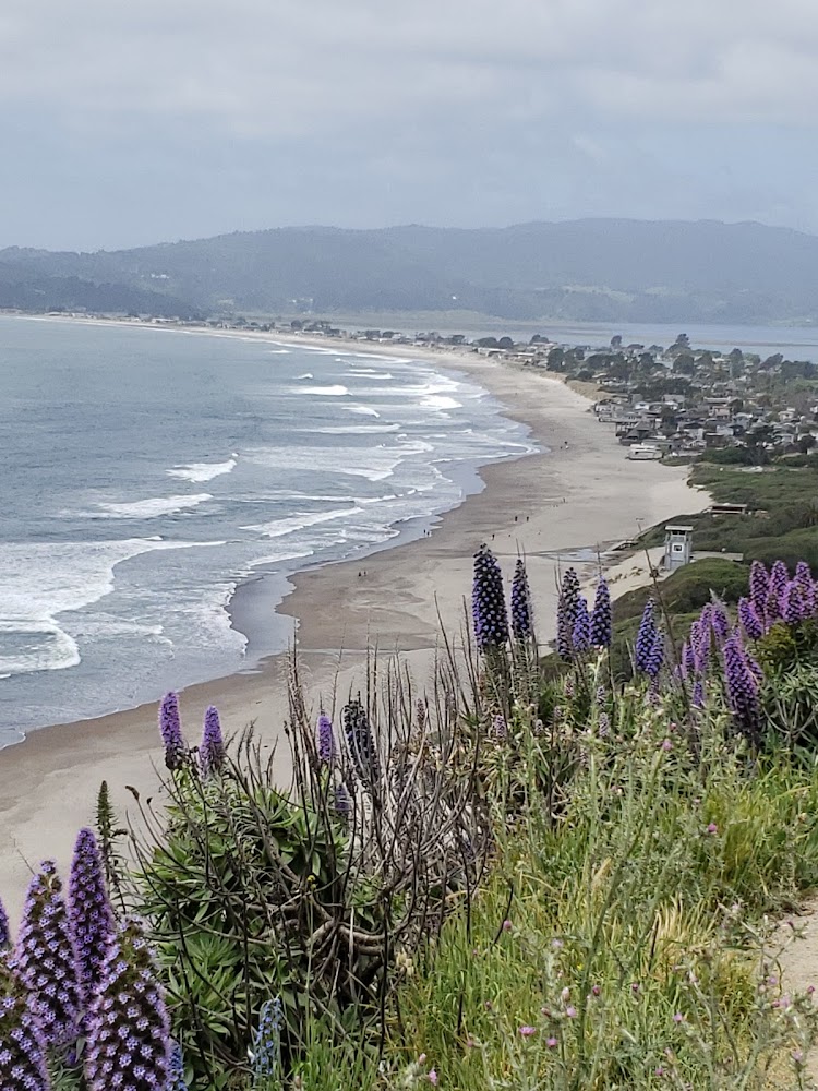 Stinson Beach County Water — Water Treatment in Stinson Beach, CA