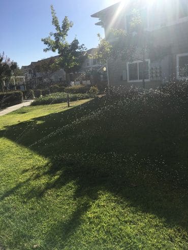 Superior Quality Landscape Management