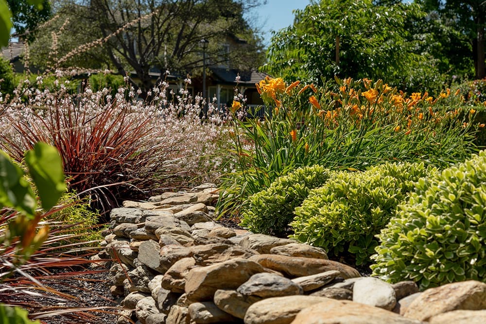 Susan Friedman Landscape Architecture