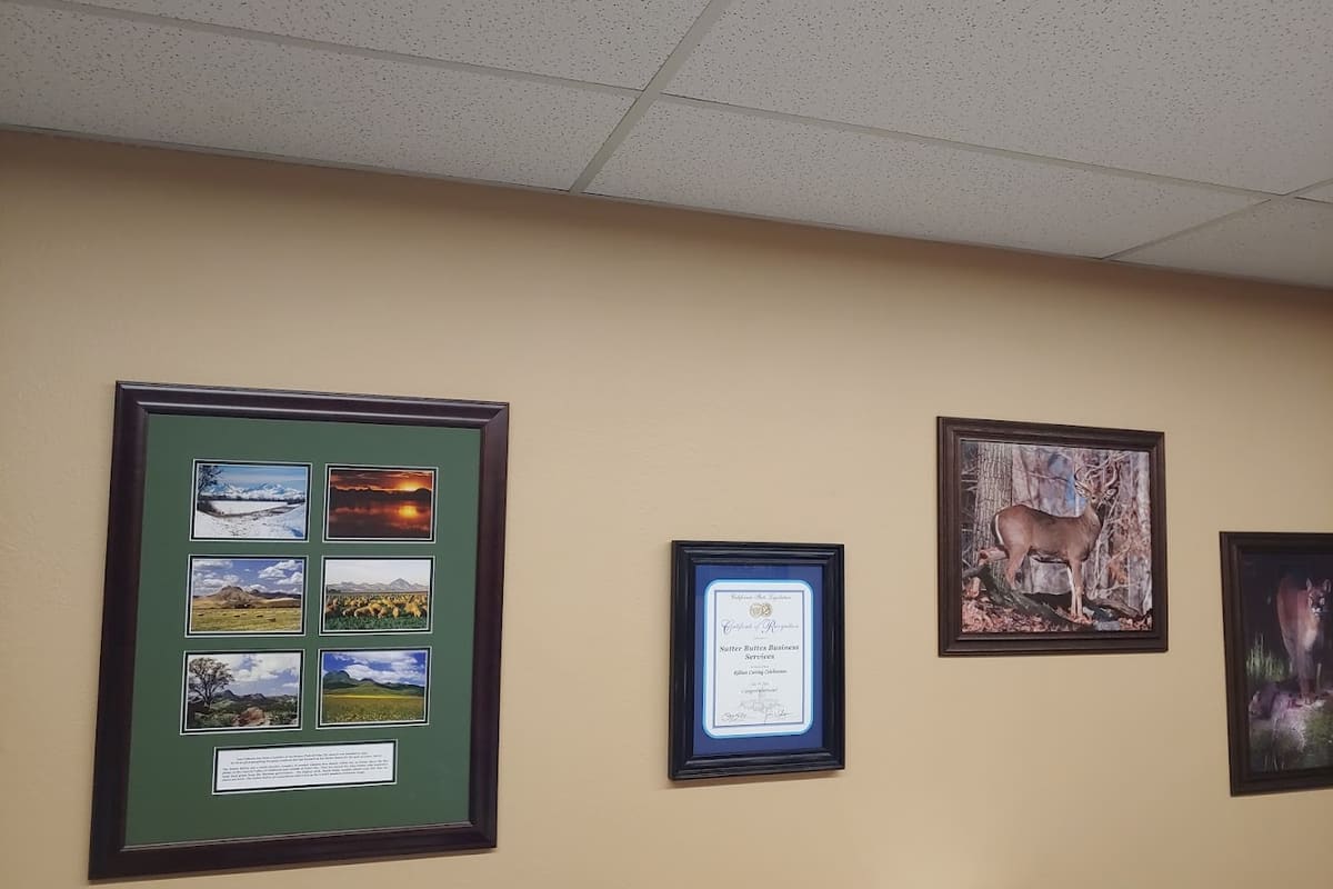 Sutter Buttes Business Services