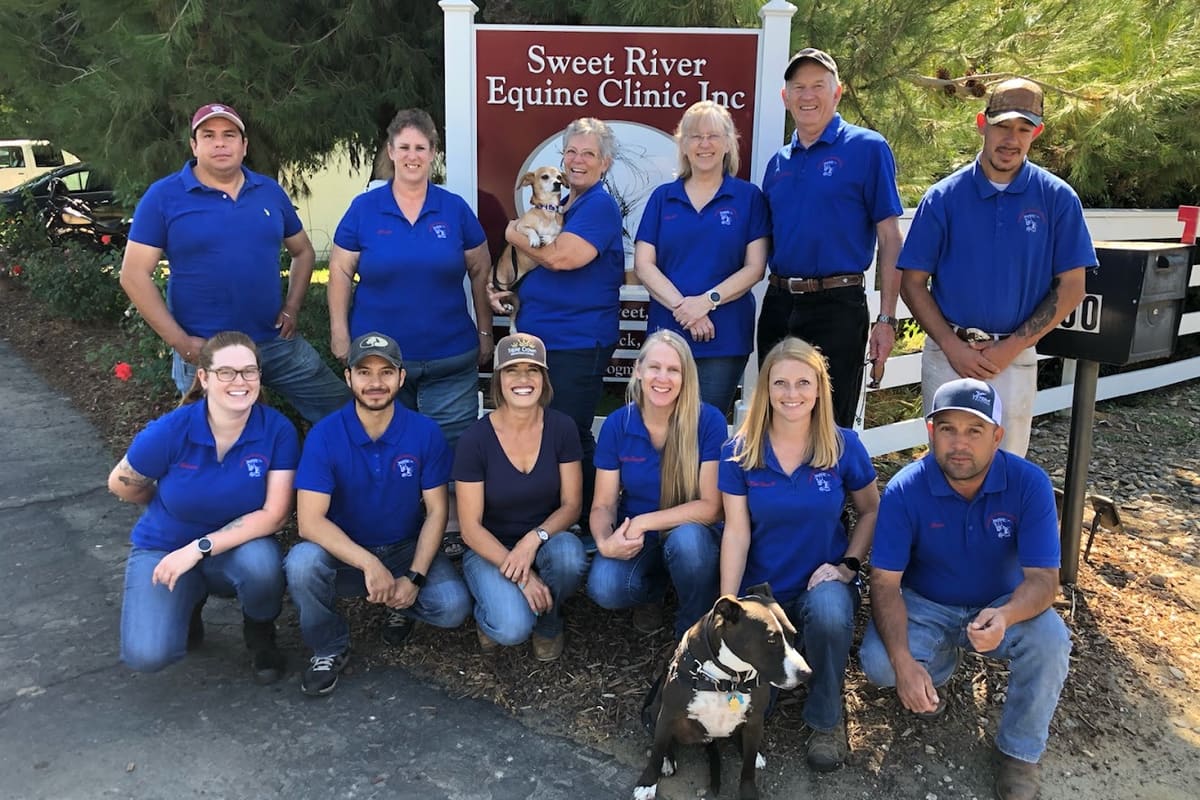 Sweet River Equine Clinic Inc