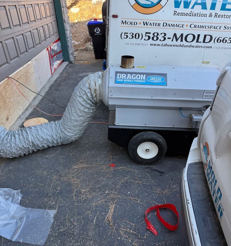Tahoe Mold and Water