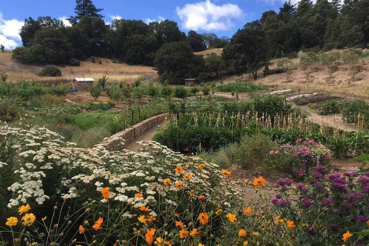 The Flowering Earth