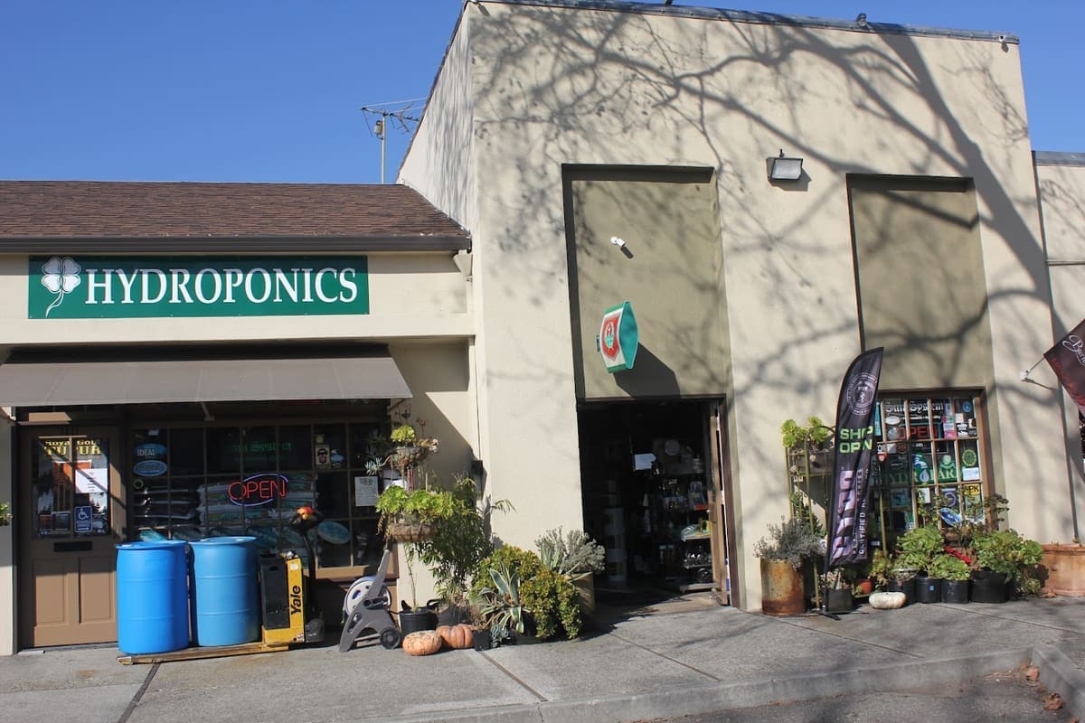 The Lucky Garden Dublin Hydroponics