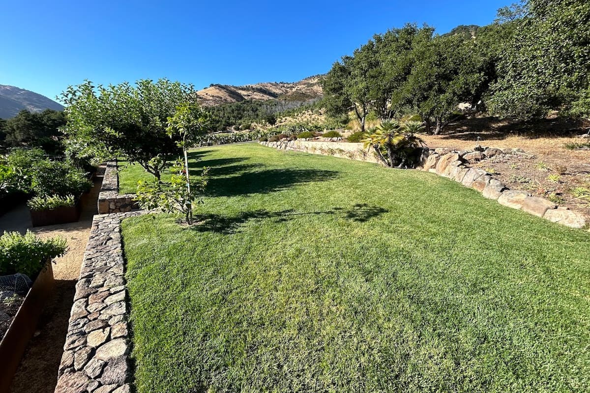 Tiburcio Landscape