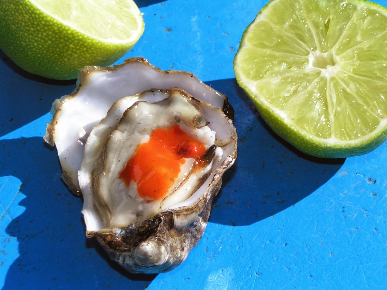 Tomales Bay Oyster Company — Water Treatment in Tomales, CA