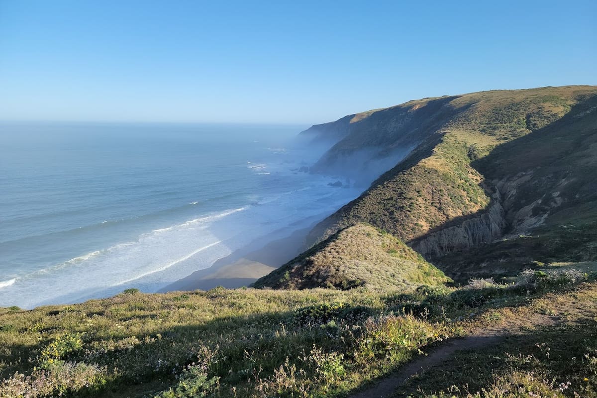 Tomales Point
