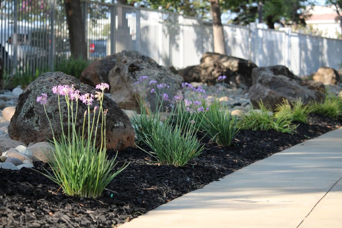 Tony's Landscaping & Maintenance
