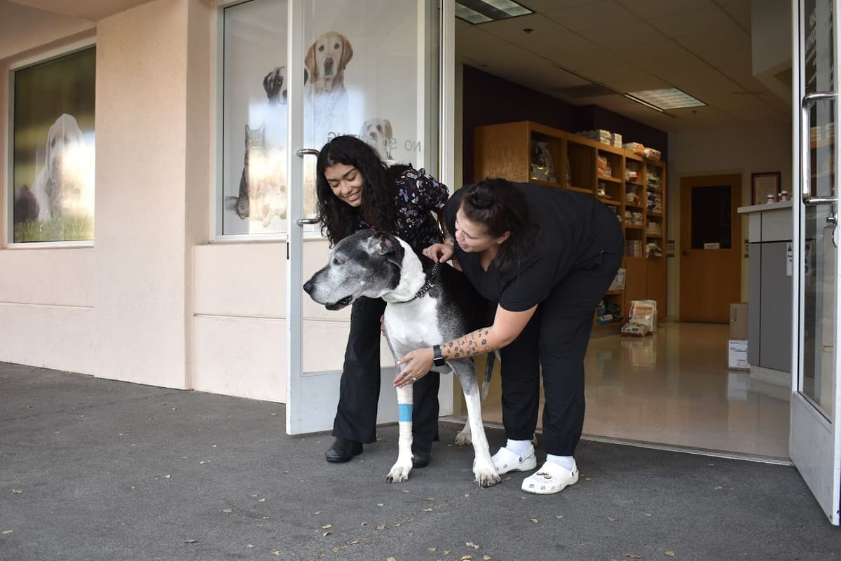 Township Animal Hospital — Veterinarians
