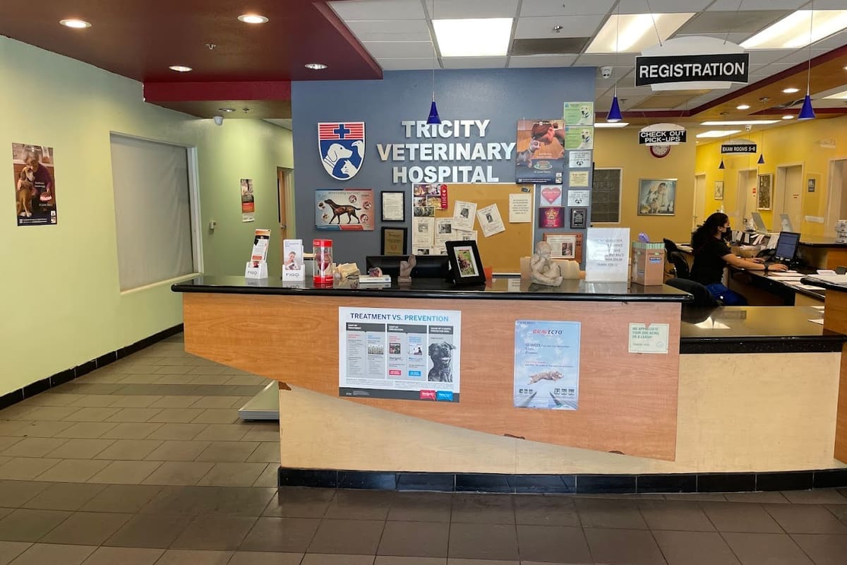 Tricity Veterinary Hospital