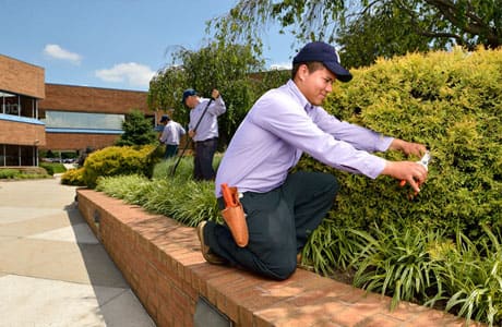 U.S. Lawns - Sacramento