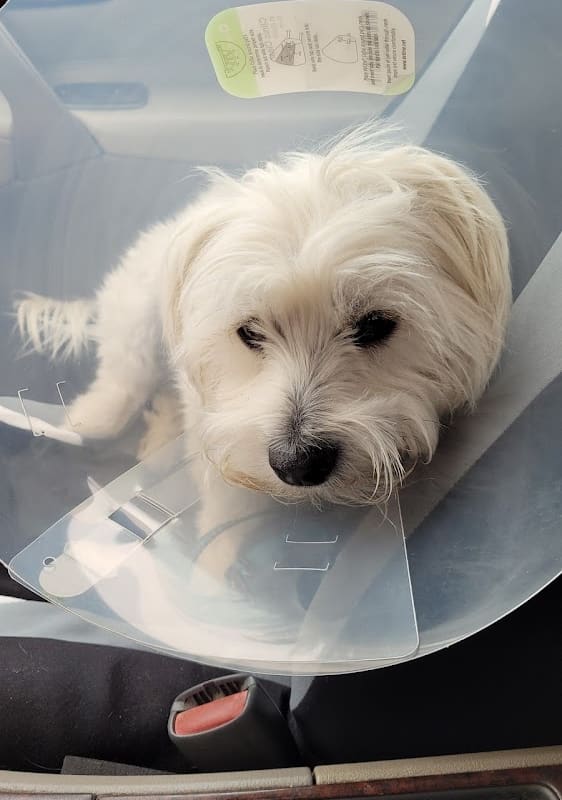 Valley Pet Care