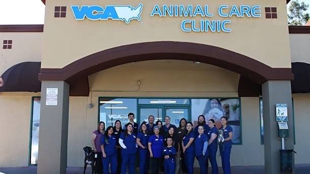 VCA Animal Care Clinic