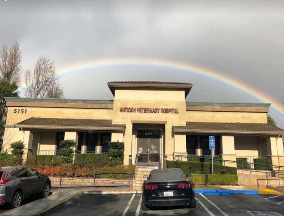 VCA Antioch Animal Hospital - Deer Valley