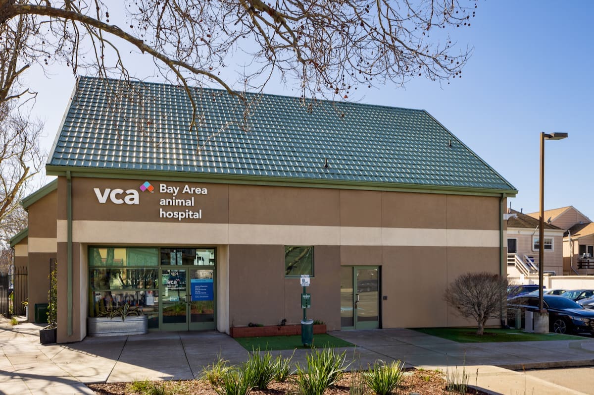 VCA Bay Area Animal Hospital