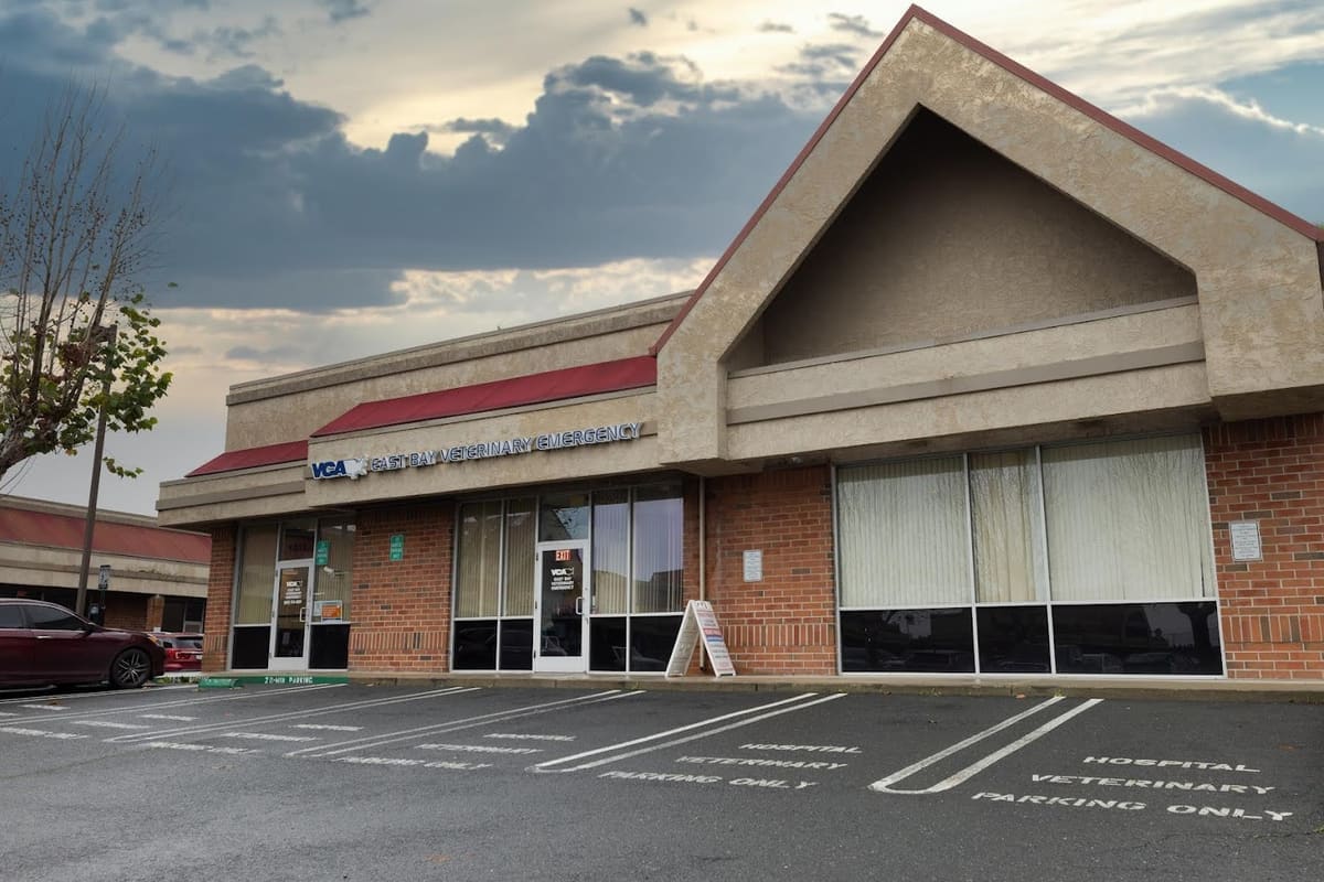 VCA East Bay Veterinary Emergency