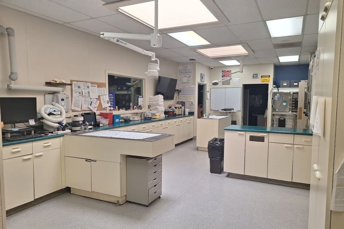 VCA Elk Grove Animal Hospital