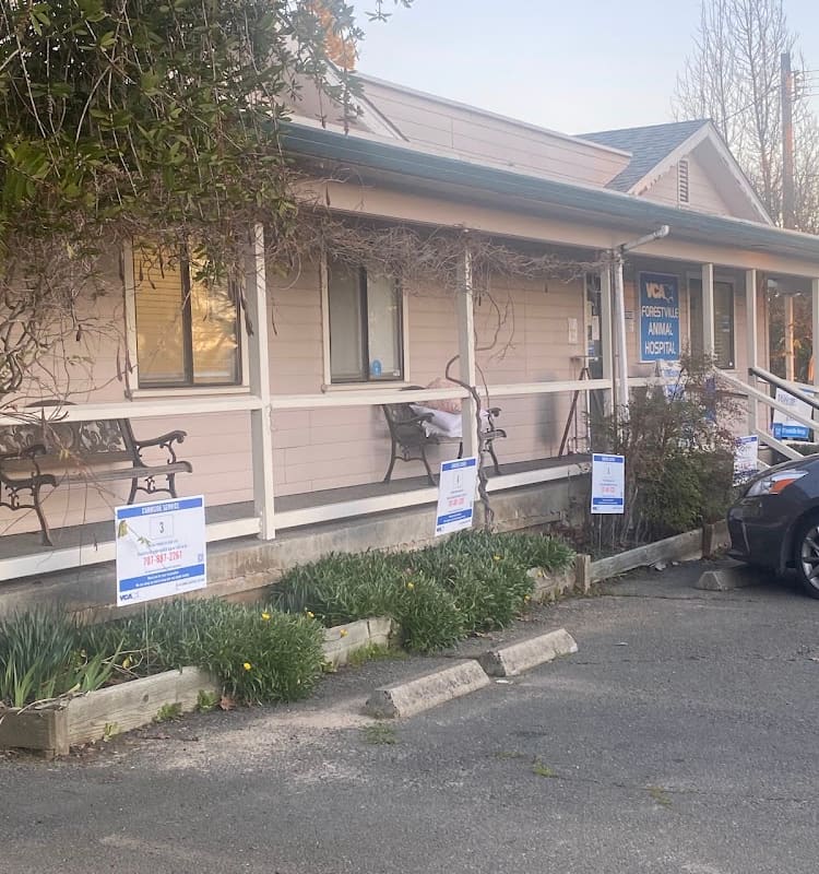 VCA Forestville Animal Hospital