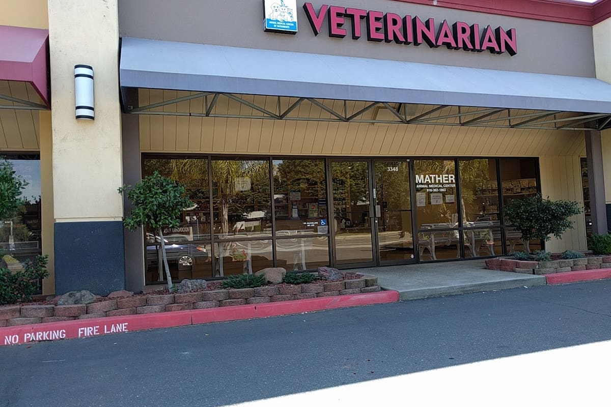 VCA Mather Animal Medical Center