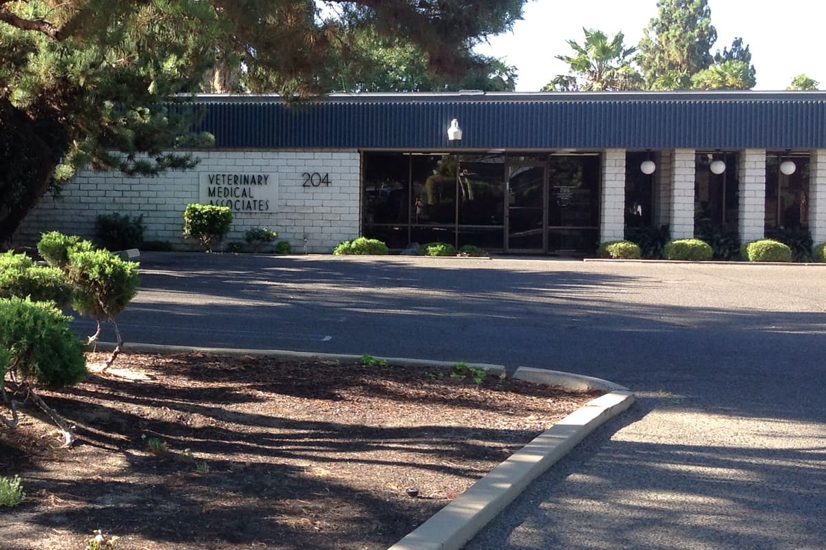 Veterinary Medical Associates