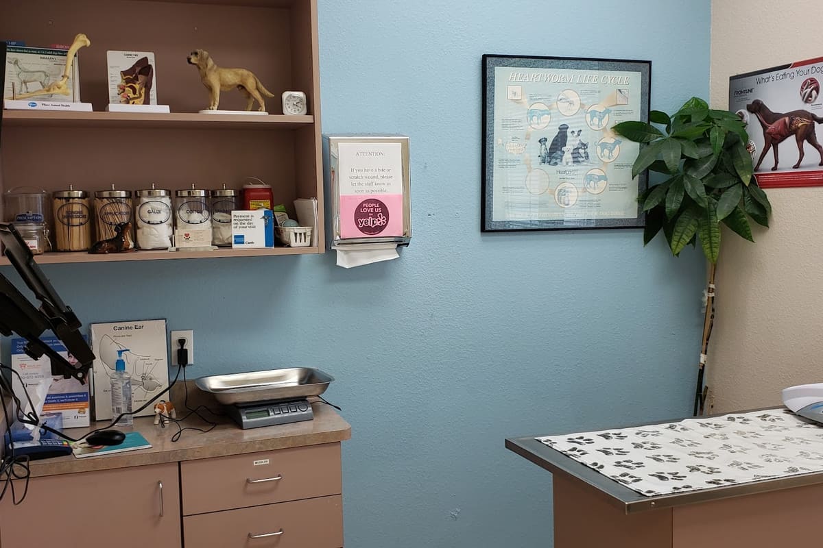 Veterinary Medical Center Union City