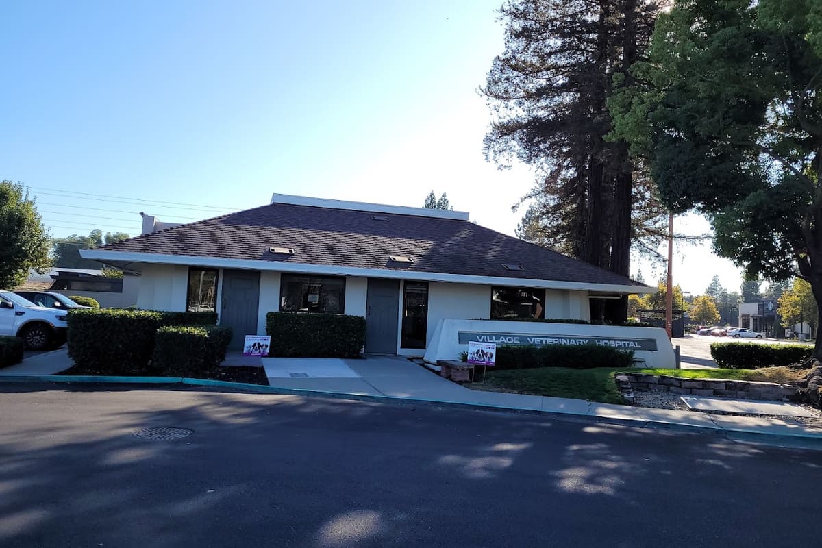 Village Veterinary Hospital