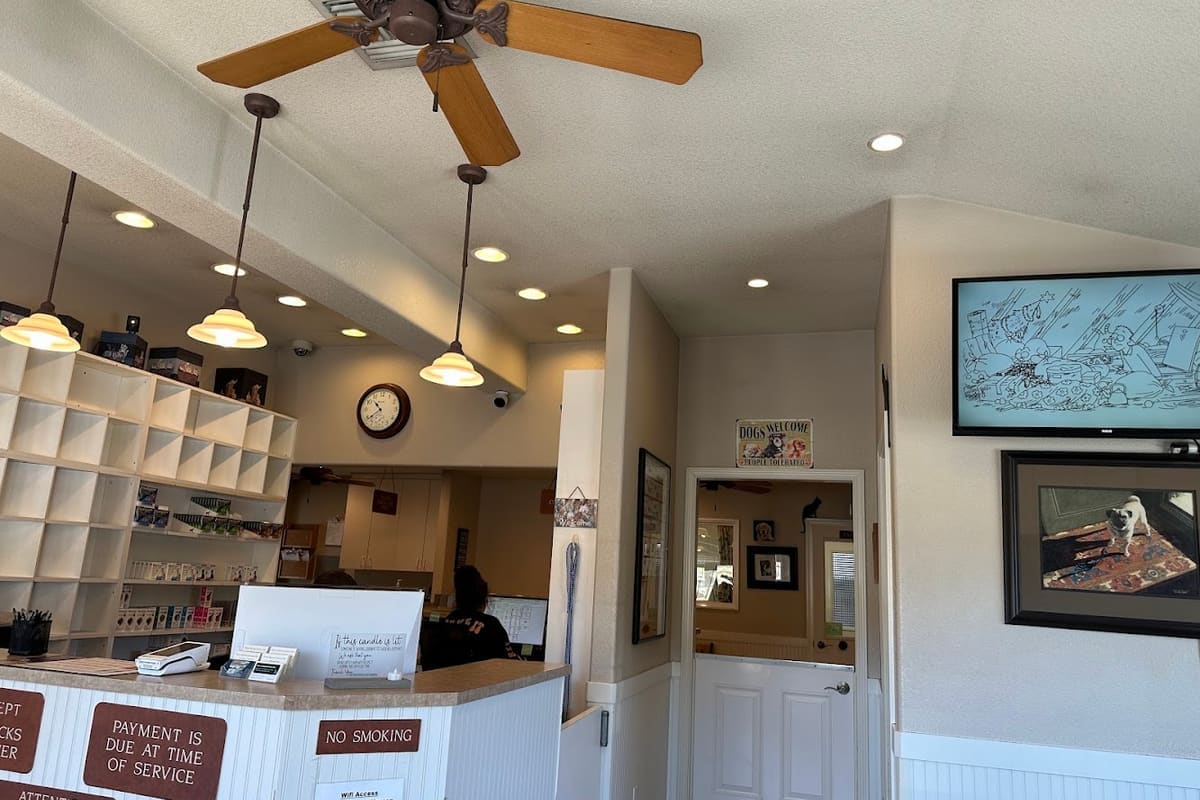 Wasson Memorial Veterinary Clinic: Yolanda Sanchez DVM