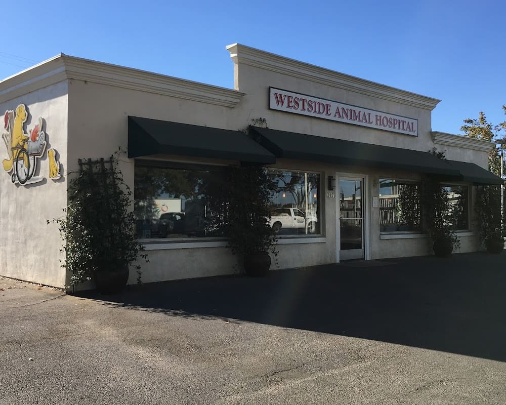 Westside Animal Hospital