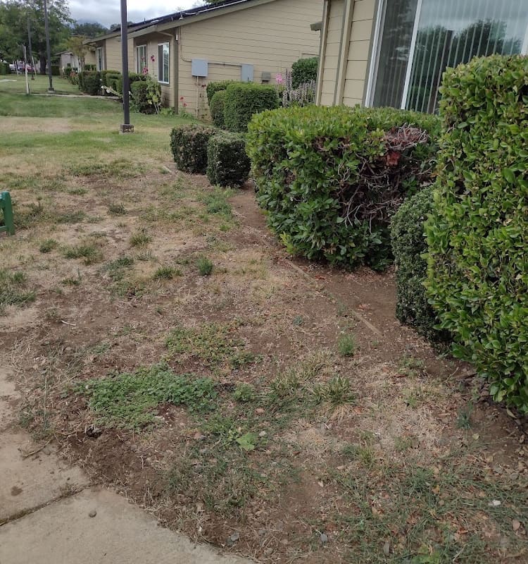 Wheeler's Landscaping