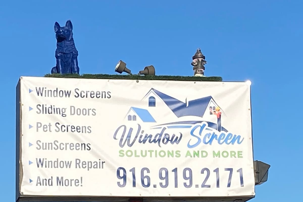 Window Screen Solutions and More