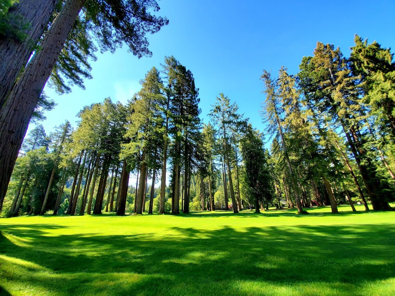 Wine Country to Coast Vacation Rentals