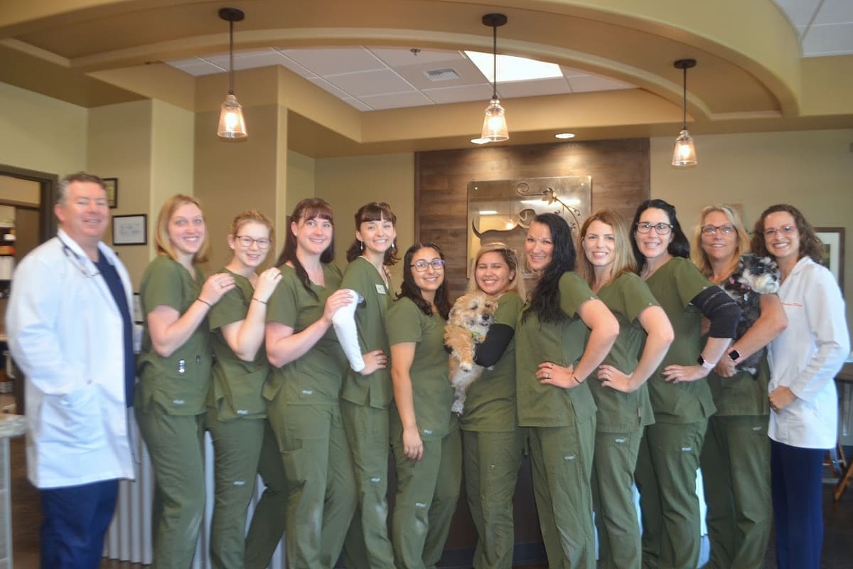 Wine Country Veterinary Hospital — Veterinarians