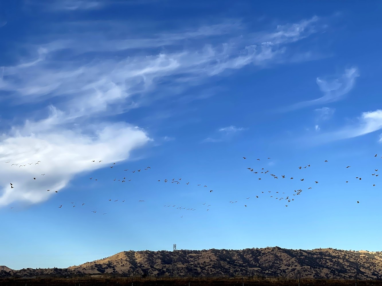 Winters Water Treatment Facility — Water Treatment in Winters, CA