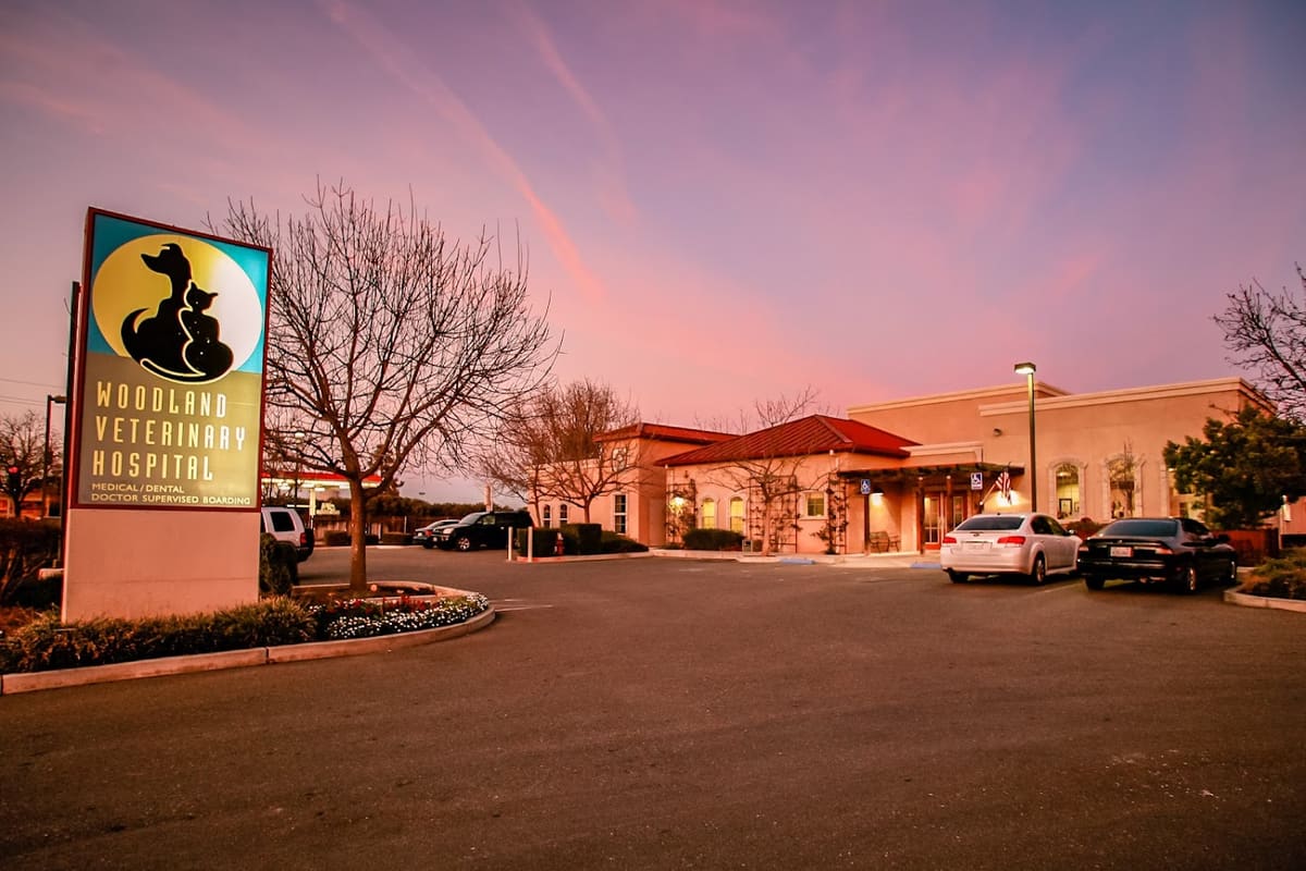 Woodland Veterinary Hospital