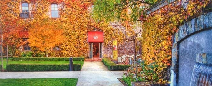 Yountville Dental